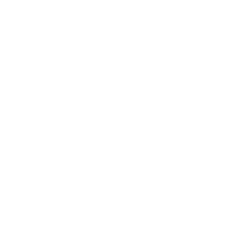 360 Icon